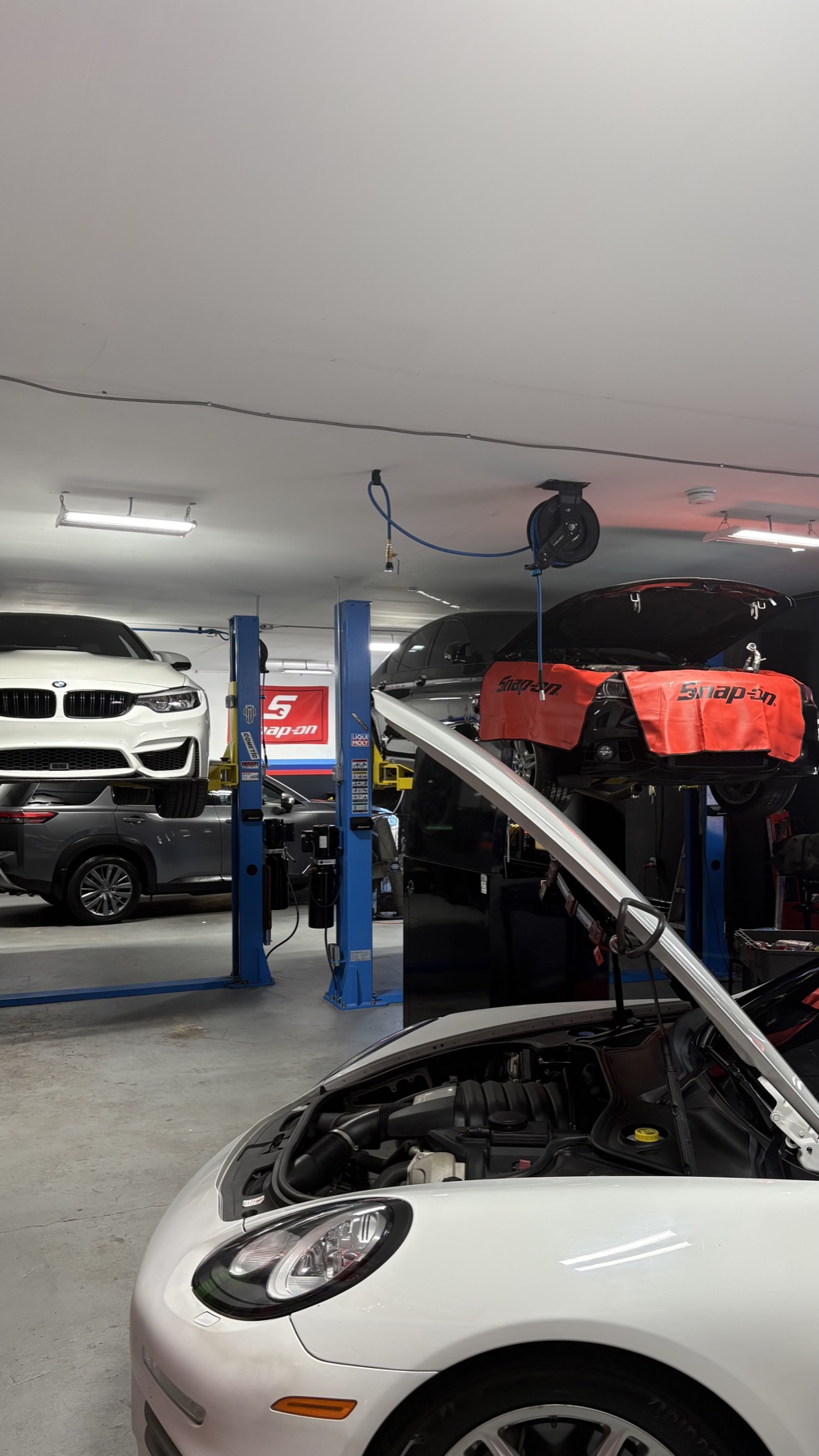 Porsche in the foreground with BMWs and another vehicle on lifts